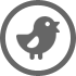Follow us on Twitter
